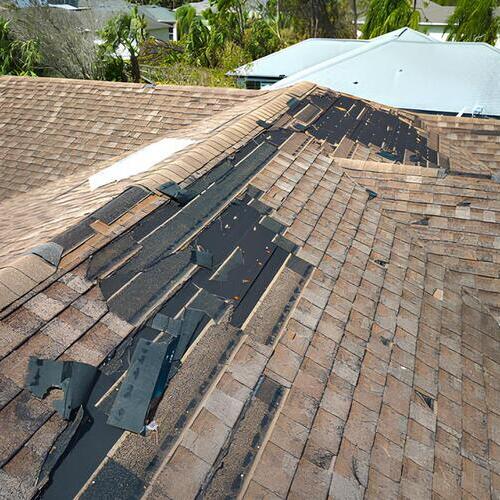 shingle roof with wind damage
