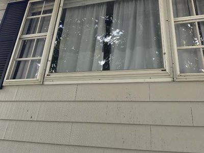 Fascia Repair