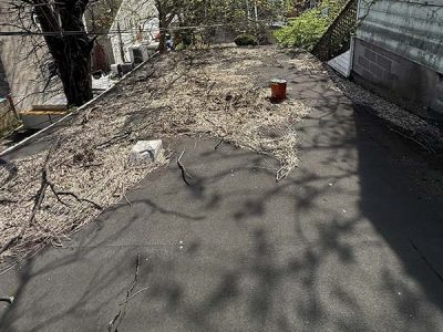 Residential Roofing Maintenance